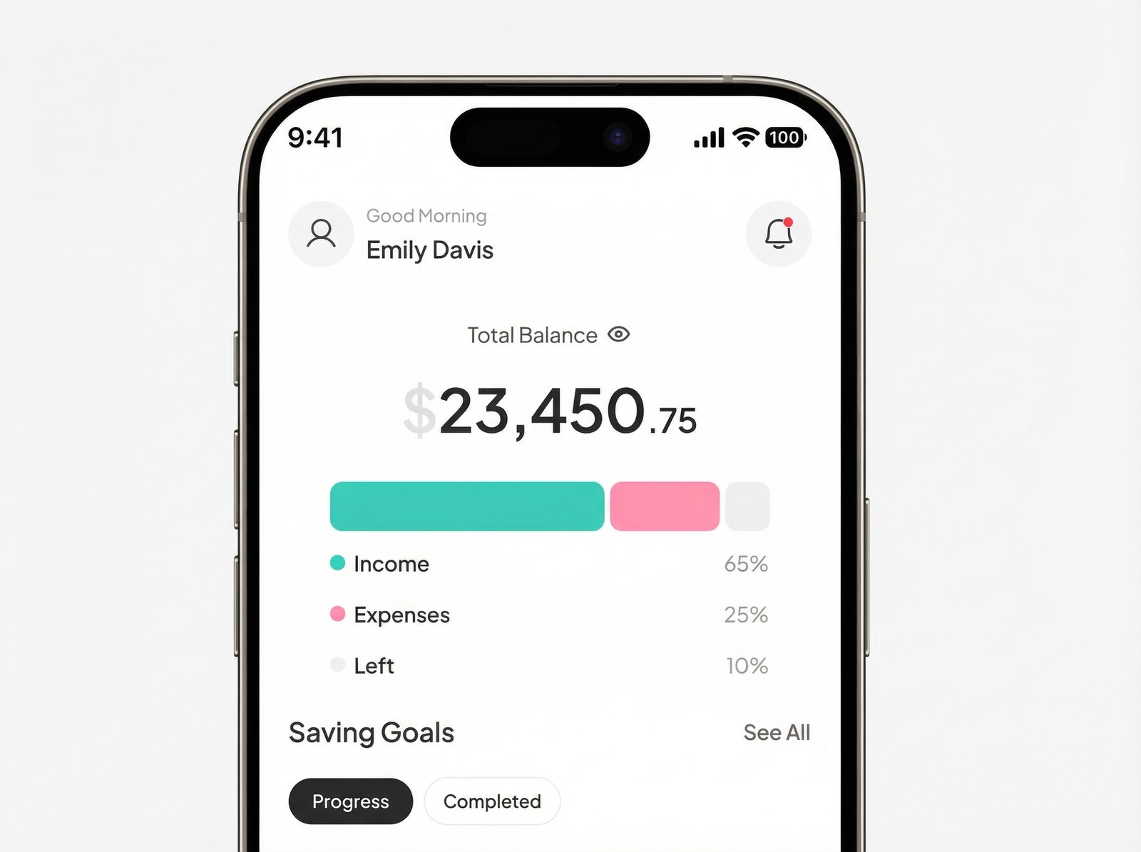 Optimize Your Repayment Plan